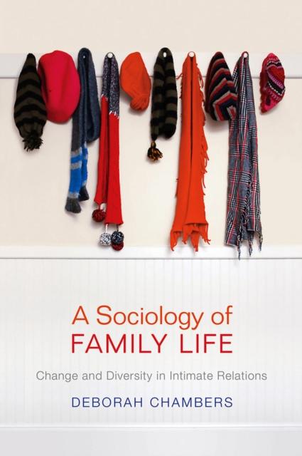 Kniha A Sociology of Family Life