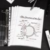 Deli 5710 A4 11-Hole Transparent Sheet Protectors