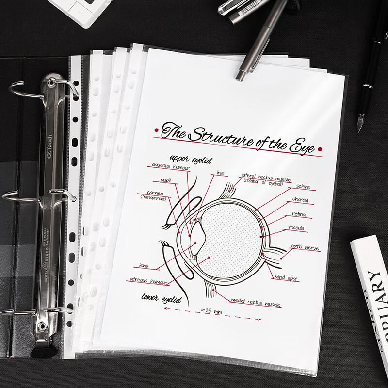 Deli A4 11-Hole Transparent Loose-Leaf Document Protectors