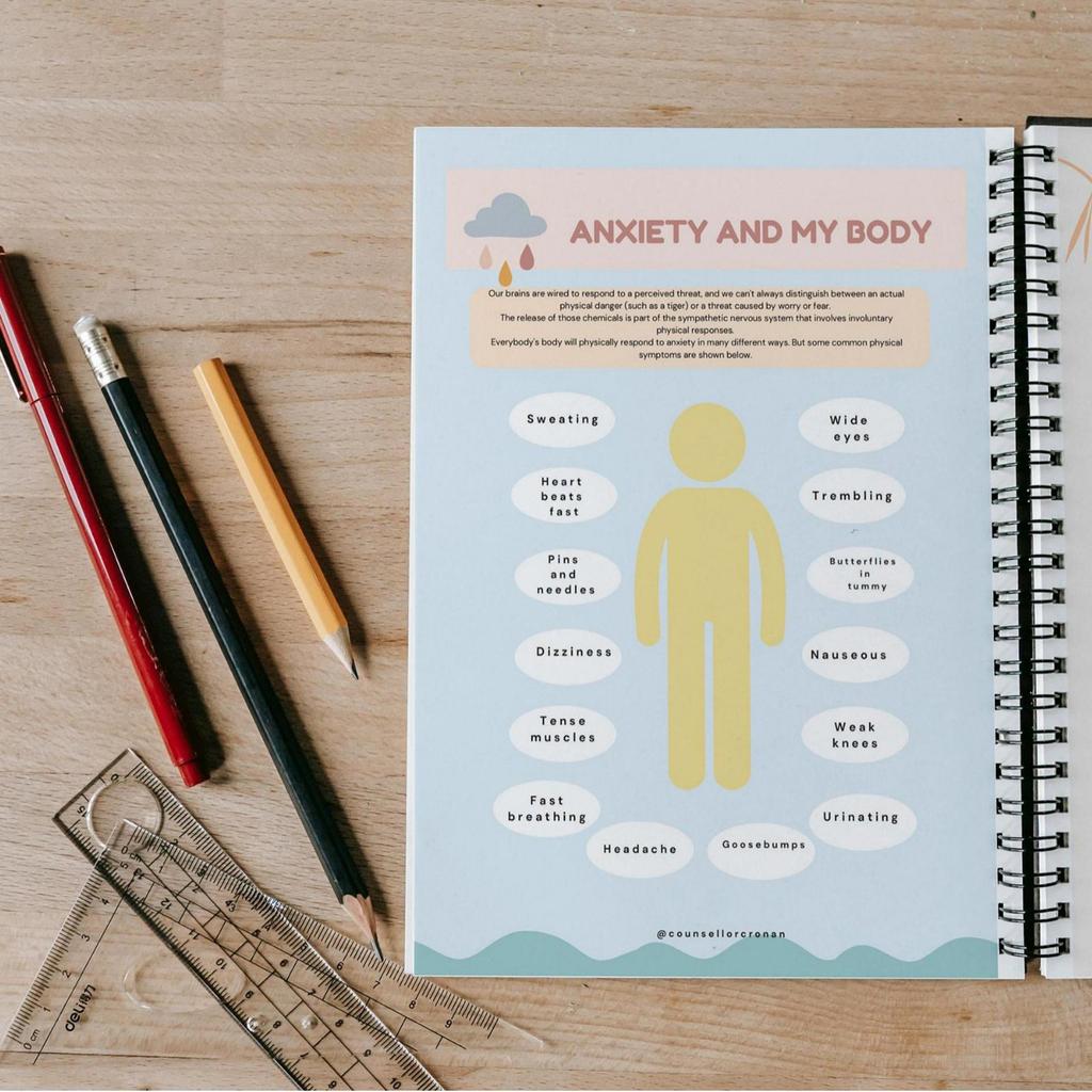 Anxiety Journal, Emotional Management And Mental Health Log, Stress Relief And Self-Regulation Tool