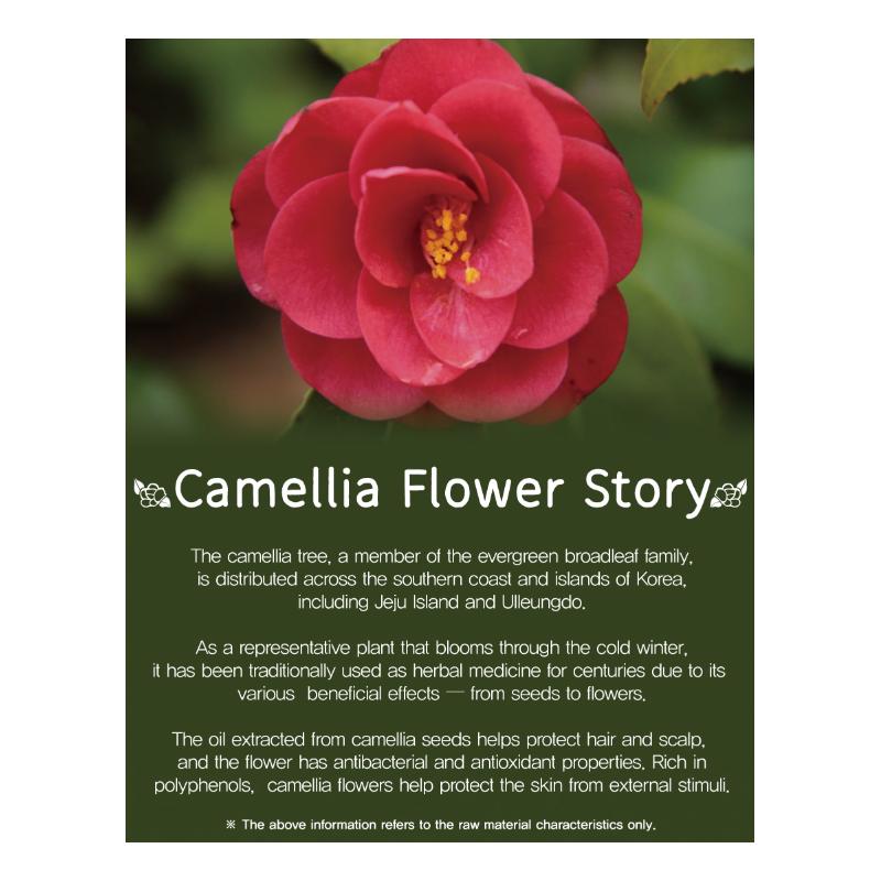 ANJO Camellia Oil High Moisturizing Serum Essence 100ml (3 Options)