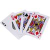 Motion Partner Family Playing Card Set (10 Decks)