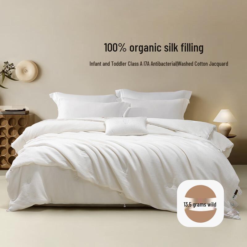 Mercury Home Textiles 100% Tussah Silk Quilt