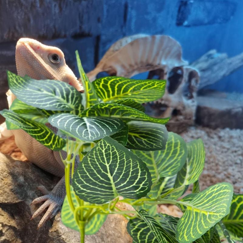Reptiles Plant Grass for Climbing Habitat Decors Branch with Leaves for Lizards Spiders Snake Geckos Hideouts