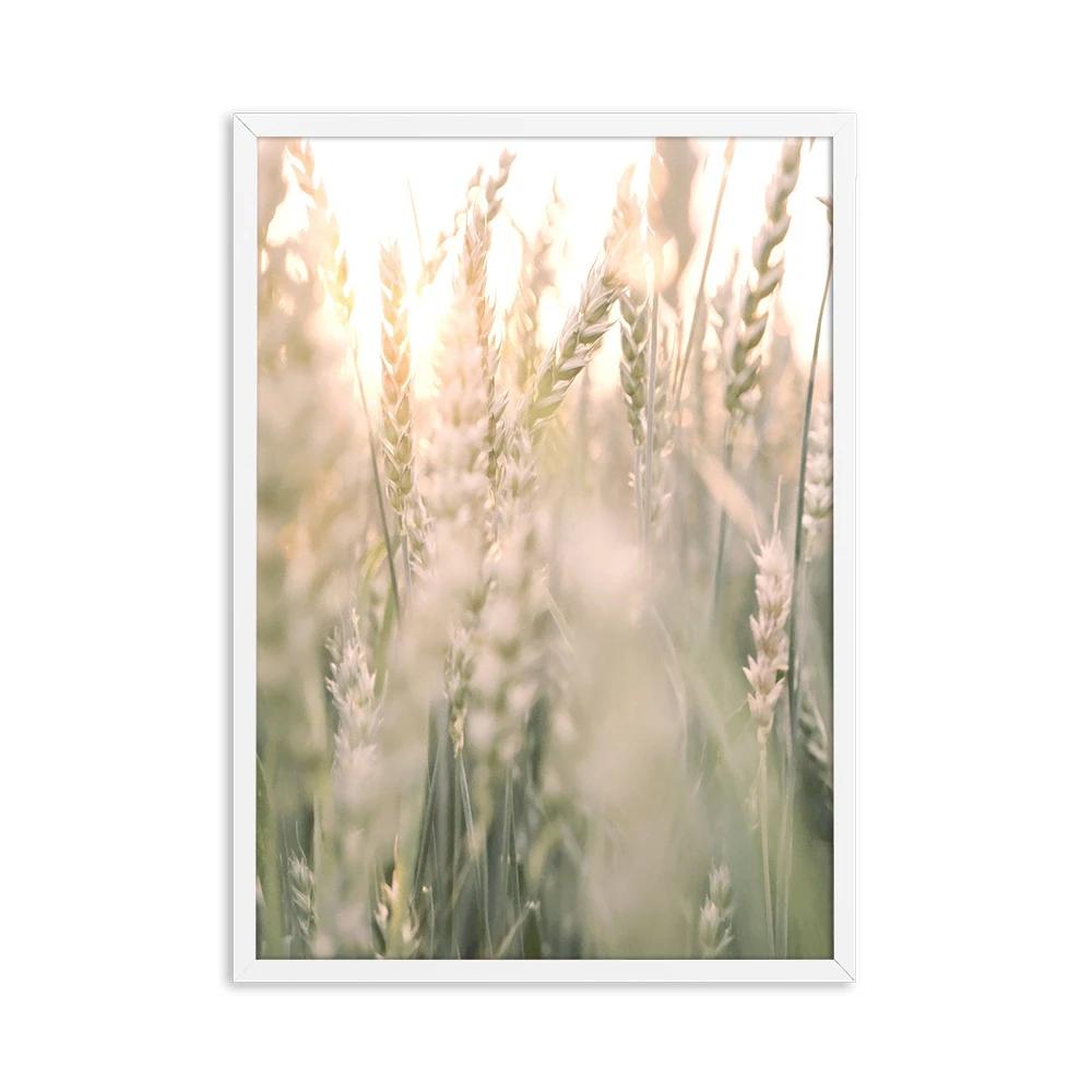 Autumn Flower Sunrise Nature Landscape CanvasPainting Poster Print Green Grass Scandinavian Style Wall Art  Nordic Picture Decor
