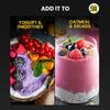 5:15PM Bio-Sabja-Samen 250g Packung 1 | Glutenfreie Basilikumsamen für Smoothies, Getränke & Desserts