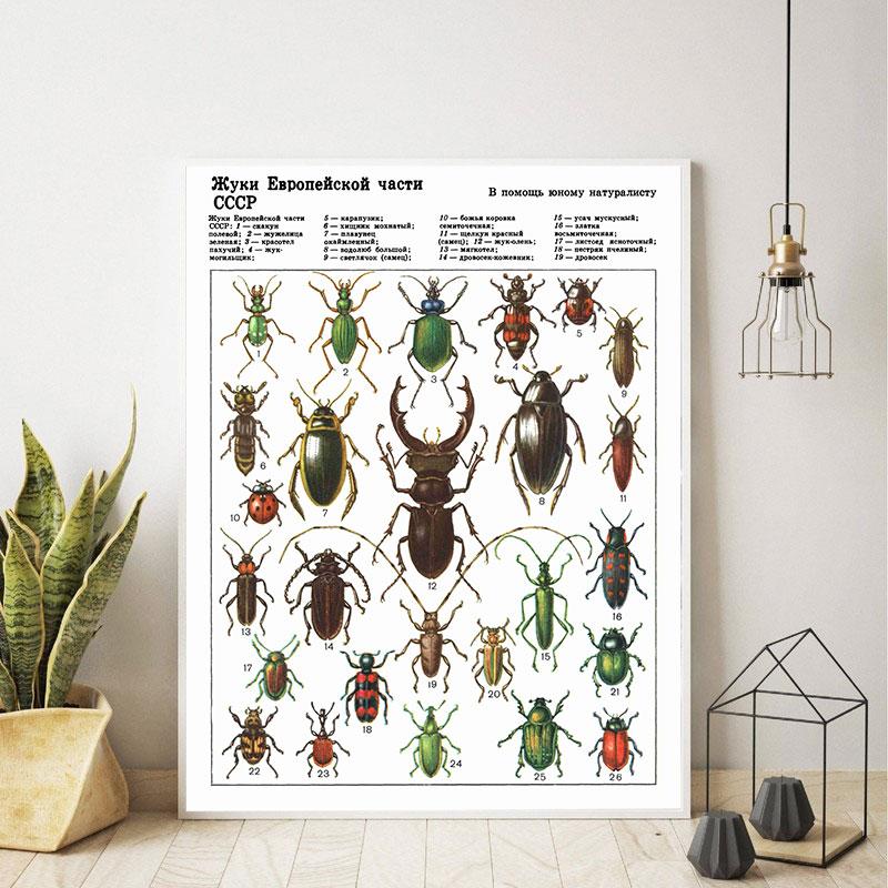 Bee Insect Nature Study Wall Art Canvas Painting Butterfly Collection Print Education Poster School Classroom Wall Decoration