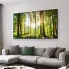 Sunrise Forest Wall Art Canvas Painting Modern Natural Landscape Posters and Prints Wall Pictures for Living Room Home Decor