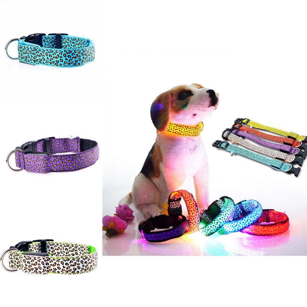 Bright Nylon Led Dog Collar For Night Safety Usb Charging Adjustable Sizes S-xl