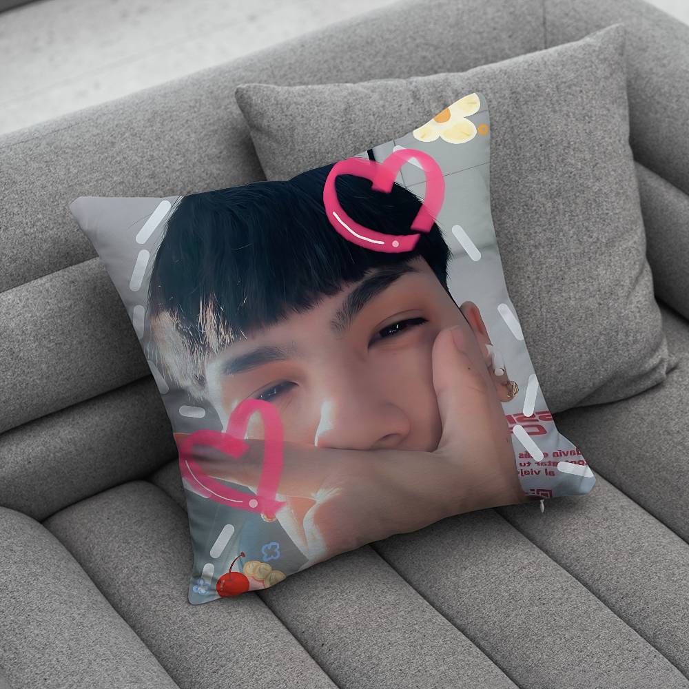 MMilo J 111 Singer pillow cover living room sofa cushion cover bedroom room bed pillow cover home decoration