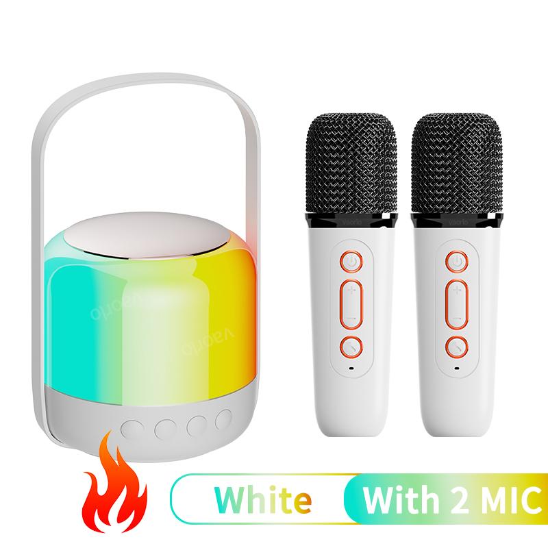 Portable Wireless Dual Microphone Karaoke Machine Bluetooth PA Speaker KTV DSP System HIFI Stereo Sound RGB Colorful LED Lights