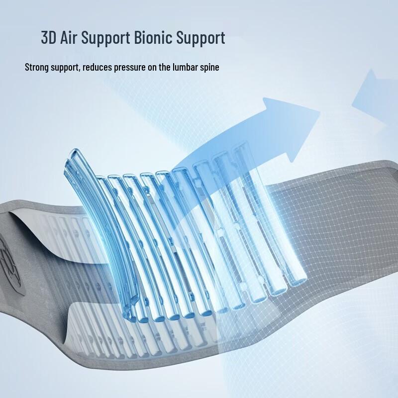 Philips Heated Lumbar Support Wrap CN Plug (adapter Included)