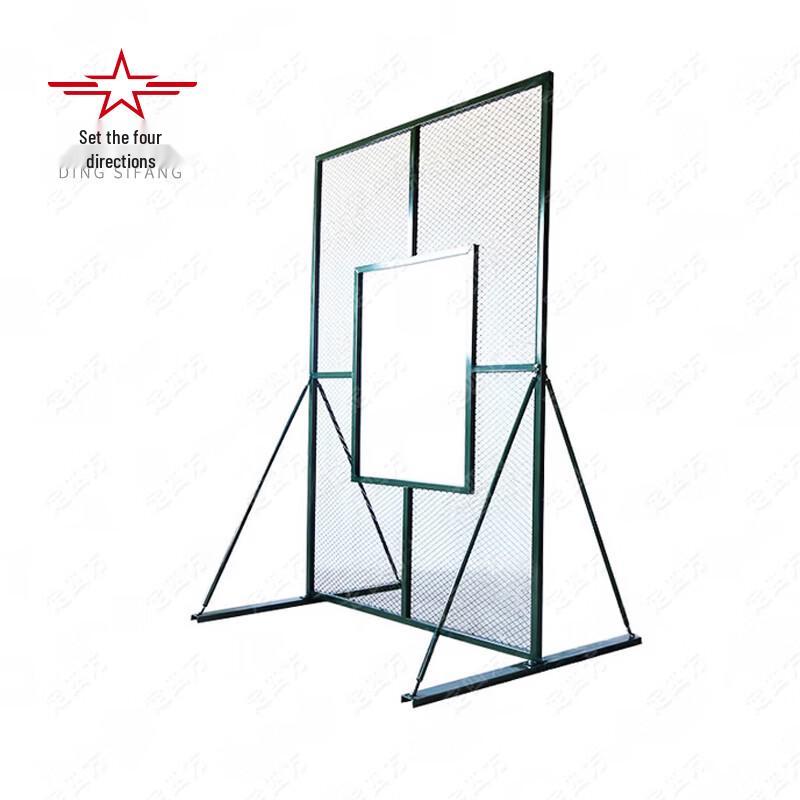 Throwing Target Net with Window