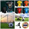 THAILANDIA Maglia da Allenamento Calcio Nazionale Stampa CHEER Asciugatura Rapida Camicia Collo alla Coreana Manica Corta Divisa Logo Elefante Sport