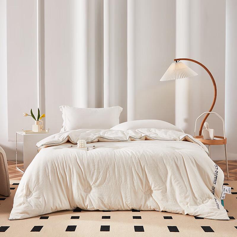 

Paris Style Soft Soybean Fiber Quilt