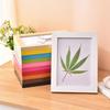 Ins Colorful Photo Frame Multi Size Drawings Picture Frame Diy Handcraft Display Holders Desktop
