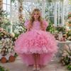 2025 New Children's Princess Dress with Rose 3D Appliques, Bow, and Cake Train