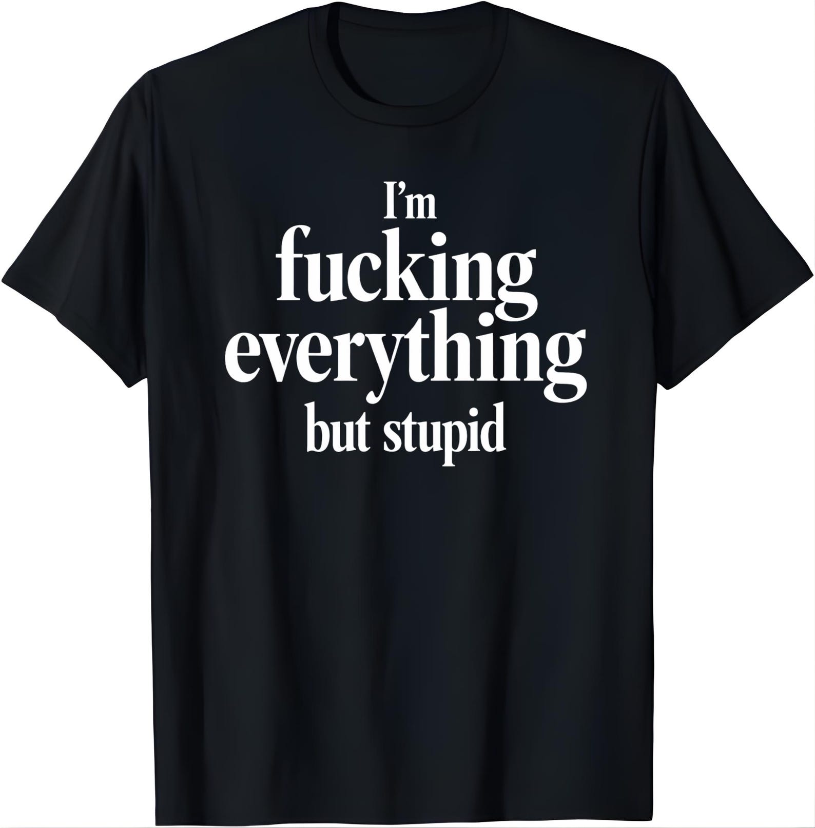 I’m Everything But Stupid Funny Quote T-Shirt, Sarcastic Humor Graphic Tee, Bold Confidence Shirt, Sassy Attitude Gift S