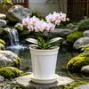 Vaso per Orchidee con Sottovaso Fioriera con Ventilazione Laterale e Fori di Drenaggio Prevenzione Marciume Vaso per Piante per Phalaenopsis Rose Uso Interno Esterno