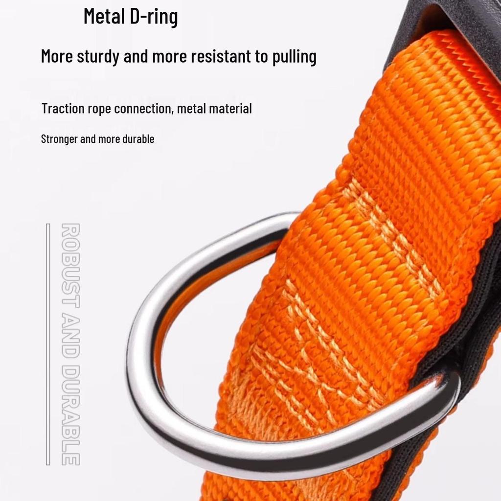 Adjustable Large Dog Collar, Reflective & Explosion-Proof Design for Dogs & Cats
