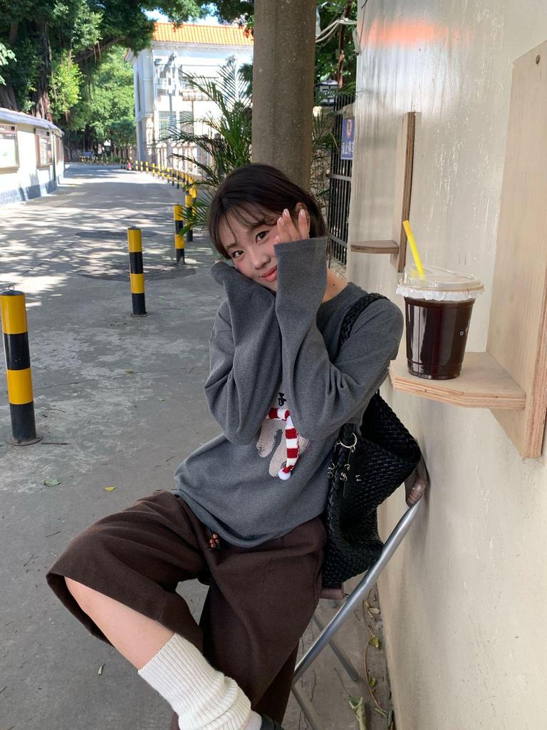 Koreanischer Stil Regenbogen Welpen Druck Locker Lässig Langarm T-Shirt für Damen