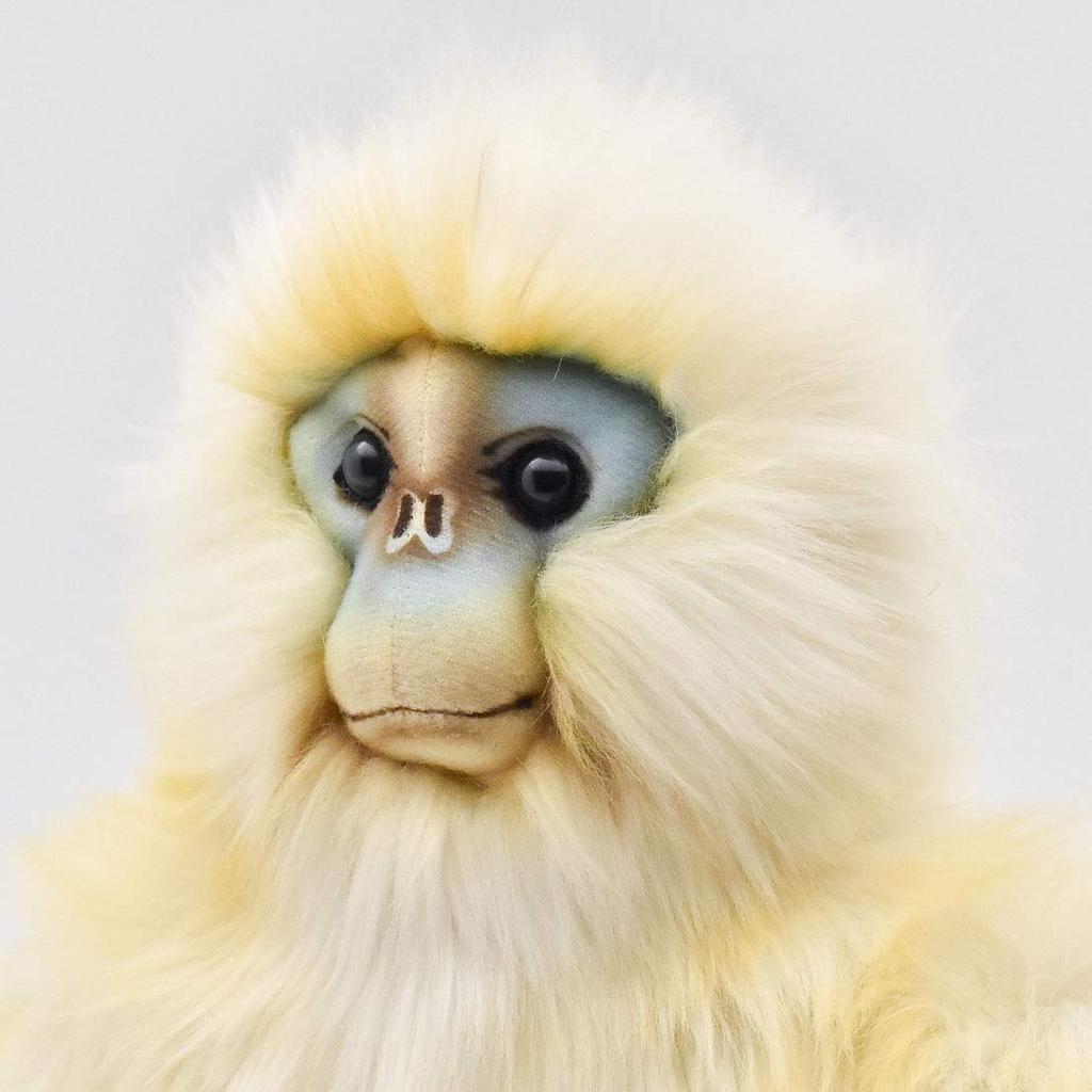 BH6765 HANSA Snub-nosed Monkey 30