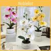 Flower Bonsai Phalaenopsis Desk Decor For Home Office Wedding Decoration