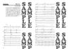 Band Score  Guitar Accompaniment "Girlfriend Loves Lies Too Much"