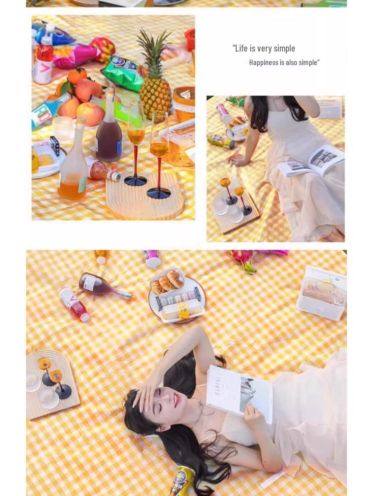 Thickened Waterproof Picnic & Camping Mat - Moisture-Proof, Portable & Foldable