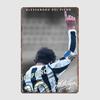 Alessandro Del Piero Fußballspieler Retro Metallschild Poster Garage Athleten Poster Club Innenraumdeko Heimdekoration Wand