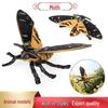 Swallowtail Butterfly Simulation Toy Model - Children's Educational Sandbox Ornament