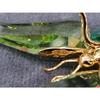 Used SWAROVSKI brooch