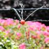 Agricultural Adjustable 8-Hole Micro Drip Irrigation Sprinkler for Fruit Trees with Red Cap