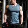 2025 Men's Quick-Dry Muscle Fit Gym Vest