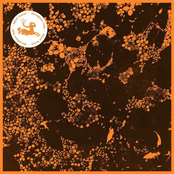 

CD DOWNLINERS SEKT - Silent Ascent IF1028 Infiné 2014 France Dance & Electronica Used