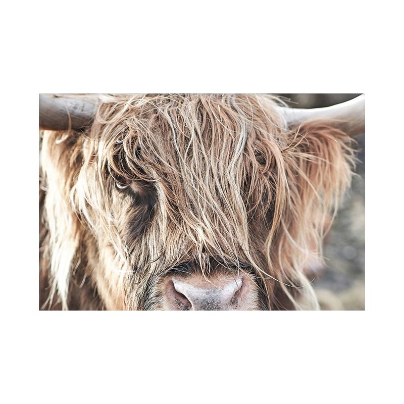 

Деревенская горная корова фотография холст печать настенный художественный постер портрет коровы изображение фермы животного для гостиной домашний декор Cuadros 50x70cm No Framed