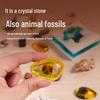 Dinosaurs Soap Blind Box: Gem and Crystal Digging Toy Gift for Kids