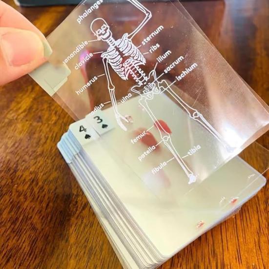 Le Jeu de Cartes Corps Squelette Modèle Cartes à Jouer Transparent Image Anatomie Humaine 3D