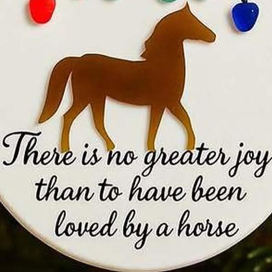 Sea Glass Art Animal Ornament Handmade Hanging Sea Glass Dog/Cat/Horse Ornament for Christmas Tree Coastal Home Decor Pet Memorial Gift for Pet Lovers