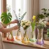 5 Stück Faltbare Hydroponische Blumenvase Faltbare Pflanzenbehälter Outdoor Reise