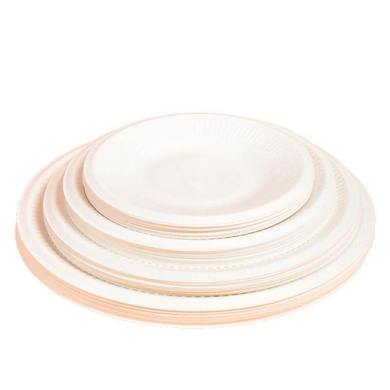 Disposable White Paper Plates