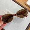 Brown Sunglasses For Women, Vintage Cat Eye Frame, Versatile Sunglasses