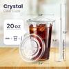 20OZ Clear Plastic Cups Lids and Straws for Iced Coffee Cups Disposable Smoothie Cups for Cold Drink Free BPA Crystal Plastic