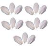 15 Pcs Natural Ostrich Feathers Colored Soft Feather for Clothes Wedding Decor