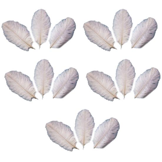 15 Pcs Natural Ostrich Feathers Colored Soft Feather for Clothes Wedding Decor