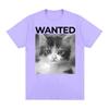 Wanted Cat Cute Funny Kawaii Kitten Graphic Tee Shirt Unisex Women Clothing Fashion Vintage Hot Sale T Shirts Cotton Casual Tshirt