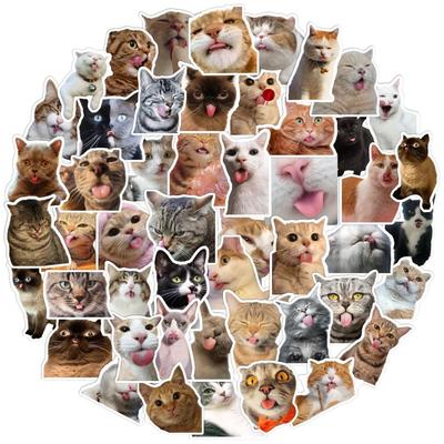 50 Niedliche Katze Ausdruck Sticker Pack - Internet-Berühmtheit Graffiti und Lustige Katze Kopf Designs
