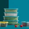 Chahua 460ml Microwave Food Storage Containers (10-Pack)