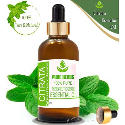 Pure Herbs Citrata 100% Pure & Natural Mentha Citrata Essential Oil ZA 303