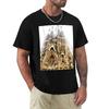Sagrada Familia Spain TShirt Louboutins Graphic Shirts Sports Fans T Shirts for Men Pack